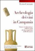 Acheologia dei vini in Campania. Storie e testimonianze della bevanda che ha conquistato il Mediterraneo di Flavio Castaldo edito da Archeologiattiva