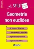 Geometrie non euclidee di Silvia Benvenuti edito da Alpha Test