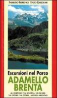 Escursioni nel parco Adamello-Brenta di Fabrizio Torchio, Enzo Gardumi edito da Panorama