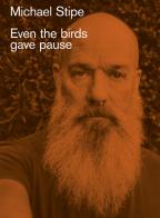 Even the birds gave pause di Michael Stipe edito da Damiani