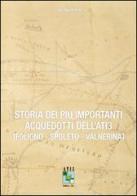 Storia dei più importanti acquedotti dell'Ati3. Foligno, Spoleto, Valnerina di Cristina Fratta edito da Il Formichiere
