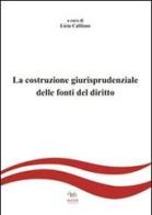 La costruzione giurisprudenziale delle fonti del diritto edito da Aras Edizioni