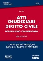 Atti giudiziari. Diritto civile. Formulario commentato edito da Edizioni Giuridiche Simone