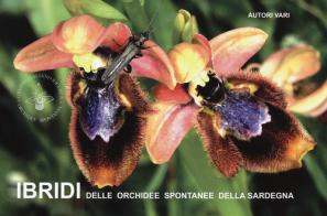 Ibridi delle orchidee spontanee della Sardegna edito da Edizioni ETS