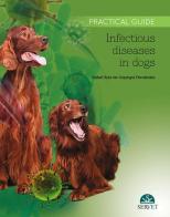 Infectious diseases in dogs. Practical guide di Rafael Ruiz de Gopegui Fernàndez edito da SERVET