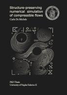 Structure-preserving numerical simulation of compressible flows di Carlo De Michele edito da Youcanprint