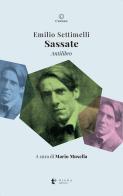 Sassate. Antilibro di Emilio Settimelli edito da Diana edizioni