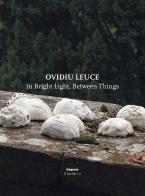 Ovidiu Leuce. In bright light, between things. Ediz. italiana e inglese edito da Magonza