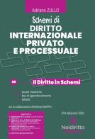 Schemi di diritto internazionale privato e processuale edito da Neldiritto Editore