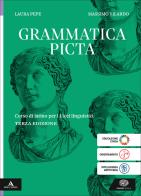 Grammatica picta. Per le Scuole superiori. Con e-book. Con espansione online di Laura Pepe, Massimo Vilardo edito da Einaudi Scuola