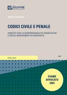 Codici civile e penale. Annotati con la giurisprudenza più significativa e con gli orientamenti in contrasto edito da Giuffrè