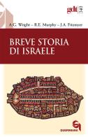 Breve storia di Israele di Addison G. Wright, Roland E. Murphy, Joseph A. Fitzmyer edito da Queriniana