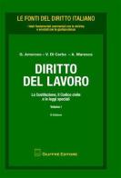 Diritto del lavoro vol.1 di Giovanni Amoroso, Vincenzo Di Cerbo, Arturo Maresca edito da Giuffrè