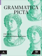 Grammatica picta. Omnibus. Percorsi personalizzati di latino. Per le Scuole superiori. Con e-book. Con espansione online di Laura Pepe, Massimo Vilardo edito da Einaudi Scuola