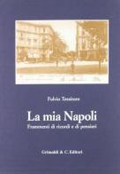 La mia Napoli. Frammenti di ricordi e pensieri di Fulvio Tessitore edito da Grimaldi & C.