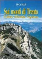 Sui monti di Trento. Calisio, Marzola, Vigolana di Luca Biasi edito da Panorama