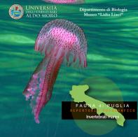 Invertebrati marini. Fauna di Puglia. Repertorio fotografico. DVD-ROM edito da CeRB