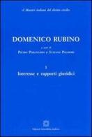 Domenico Rubino edito da Edizioni Scientifiche Italiane