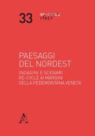Paesaggi del NordEst di Matteo Aimini edito da Aracne