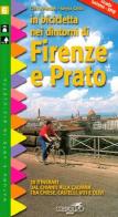 In bicicletta nei dintorni di Firenze e Prato di Cinzia Pezzani, Sergio Grillo edito da Ediciclo