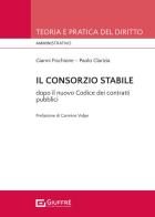 Il consorzio stabile tra novità e conferme dopo il nuovo Codice dei contratti pubblici (d.lgs. n. 36/2023) di Paolo Clarizia, Gianni Fischione edito da Giuffrè