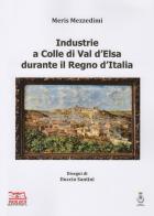 Industrie a Colle di Val d'Elsa durante il Regno d'Italia. Ediz. illustrata di Meris Mezzedimi edito da Visiva Edizioni