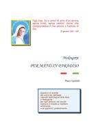 Medjugorje. Per mano in Paradiso di Piero Carletti edito da Youcanprint