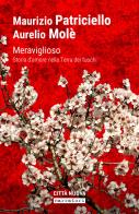Meraviglioso. Storia d'amore nella «terra dei fuochi» di Maurizio Patriciello, A. Mole edito da Città Nuova