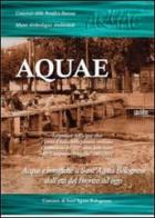 Aquae. La gestione dell'acqua oltre l'unità d'Italia nella pianura emiliana edito da Museo Archeologico Ambientale