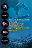 Atlante degli anfipodi mediterranei. Ediz. italiana e inglese di Francesco Costa, Sandro Ruffo, Traudl Krapp edito da Ugo Mursia Editore