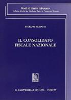 Il consolidato fiscale nazionale di Stefano Moratti edito da Giappichelli