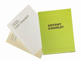 Antony Gormley. Lost subject free object edito da Gli Ori