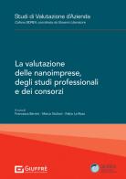 La valutazione delle nanoimprese, degli studi professionali e dei consorzi edito da Giuffrè