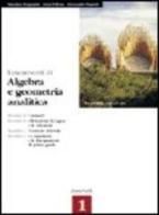 Esercizi di algebra lineare e geometria analitica di Giuliano Mazzanti, Valter Roselli edito da Pitagora