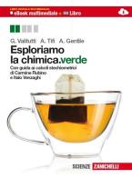 Esploriamo la chimica. Ediz. verde. Con guida ai calcoli stechiometrici. Con e-book. Con espansione online. Per le Scuole superiori vol.1 di Giuseppe Valitutti, Alfredo Tifi, Antonino Gentile edito da Zanichelli