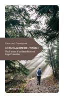 Le rivelazioni del viaggio. Piccoli attimi di perfetta chiarezza lungo il cammino di Giovanni Agnoloni edito da Ediciclo