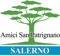 Come caricare un libro online di Vito Pacelli edito da BooksprintEdizioni