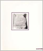 Antonio Trotta. Catalogo della mostra (Milano, 1990) di Elena Pontiggia, C. Guidi edito da Mazzotta