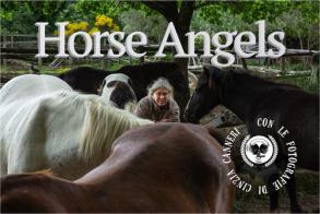 Horse Angels. Ediz. illustrata di Cinzia Canneri edito da Horse Angels
