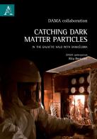 Catching Dark Matter Particles in the Galactic Halo with DAMA/LIBRA di Rita Bernabei edito da Aracne