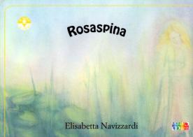 Rosaspina di Elisabetta Navizzardi edito da Cambiamenti