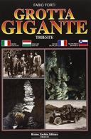 Grotta Gigante, Trieste di Fabio Forti edito da Fachin