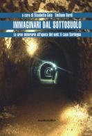 Immaginari dal sottosuolo. Le aree minerarie all'epoca del web: il caso Sardegna edito da Manifestolibri