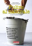 Pulire al naturale. Ricette semplici ed ecologiche per la casa e il bucato senza l'utilizzo di prodotti tossici e inquinanti edito da Terra Nuova Edizioni