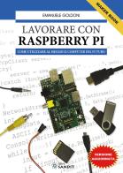 Lavorare con Raspberry Pi. Come utilizzare al meglio il computer del futuro di Emanuele Goldoni edito da Sandit Libri