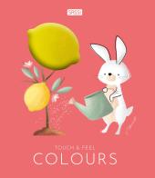 Colours. Touch & feel. Ediz. illustrata di Valentina Bonaguro edito da Sassi