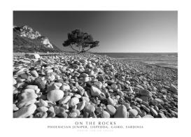 On the rocks. Phoenician Juniper, Lispedda , Gairo, Sardinia. Ediz. italiana e inglese. Con stampa Fine Art di Enrico Spanu edito da Spanu