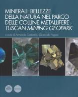 Minerali: bellezze della natura nel Parco delle colline metallifere. Tuscan mining geopark edito da Pacini Editore