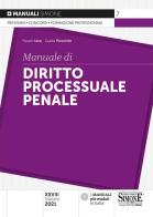 Manuale di diritto processuale penale di Fausto Izzo, Guido Picciotto edito da Edizioni Giuridiche Simone