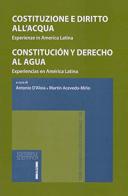 Costituzione e diritto all'acqua. Esperienze in America Latina di Antonio D'Aloia, Martin Acevedo-Mino edito da Editoriale Scientifica